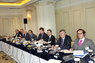 HILA AIDA Conf May 2014 08